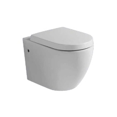 Wash down wall-hung toilet