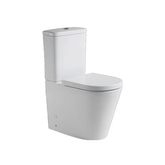 Washdown one piece toilet