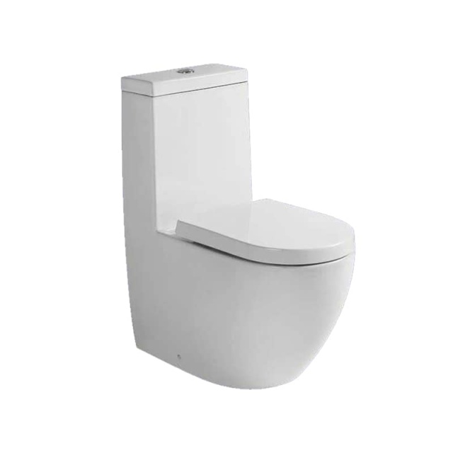 Washdown one piece toilet