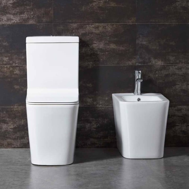 Washdown two-piece toilet（Ultra-thin cover）