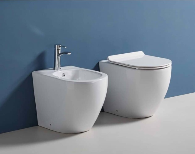 Wash down wall-hung toilet