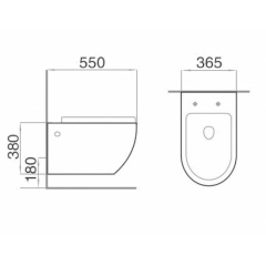 Wash down wall-hung toilet