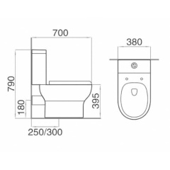 Washdown two piece toilet