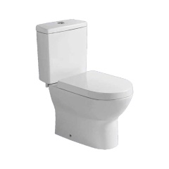 Washdown two piece toilet