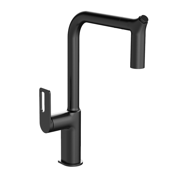 360 rotate spout pull out Kitchen Faucet