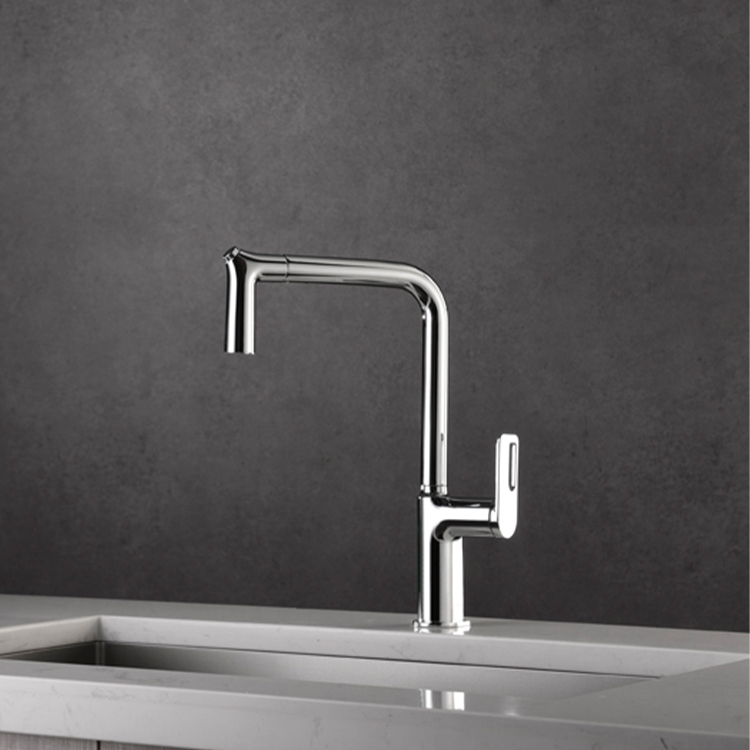 360 rotate spout pull out Kitchen Faucet