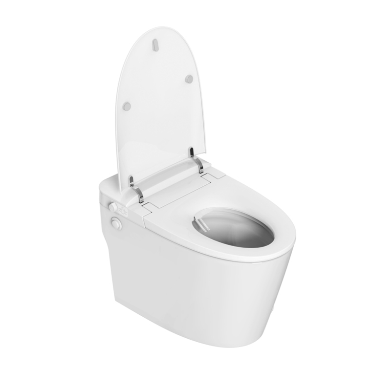 Non electric bidet toilet