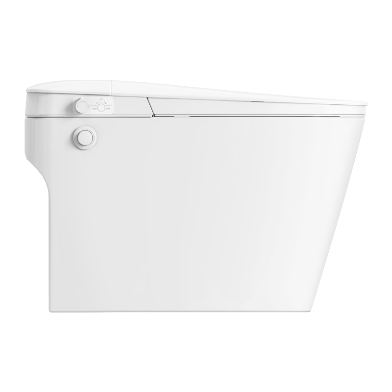 Non electric bidet toilet