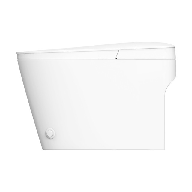 Non electric bidet toilet