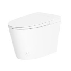 Non electric bidet toilet