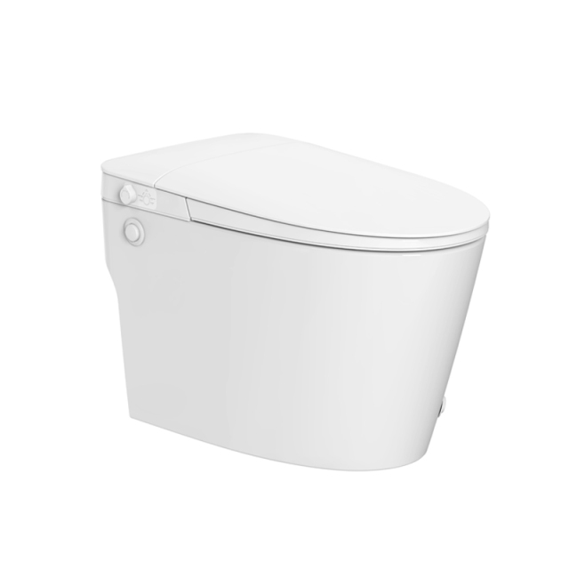 Non electric bidet toilet