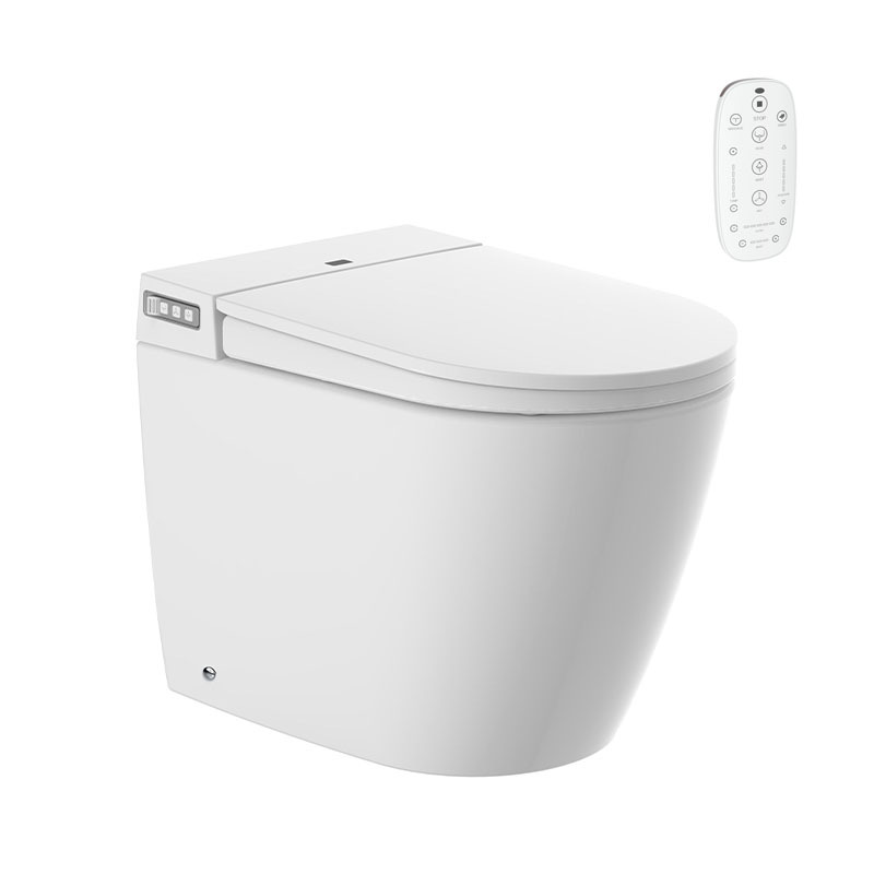 Smart toilet with Ceramics
