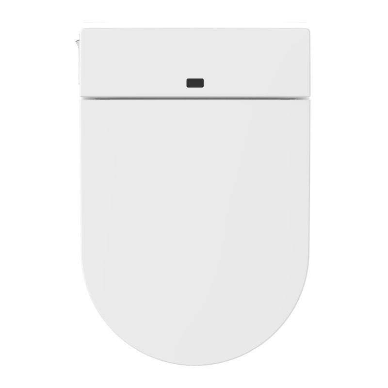 Smart toilet with Ceramics