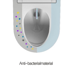 Smart toilet with Ceramics