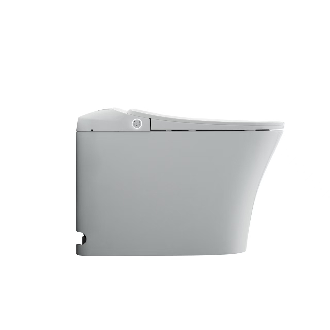 Smart Toilet (Australian Standard)