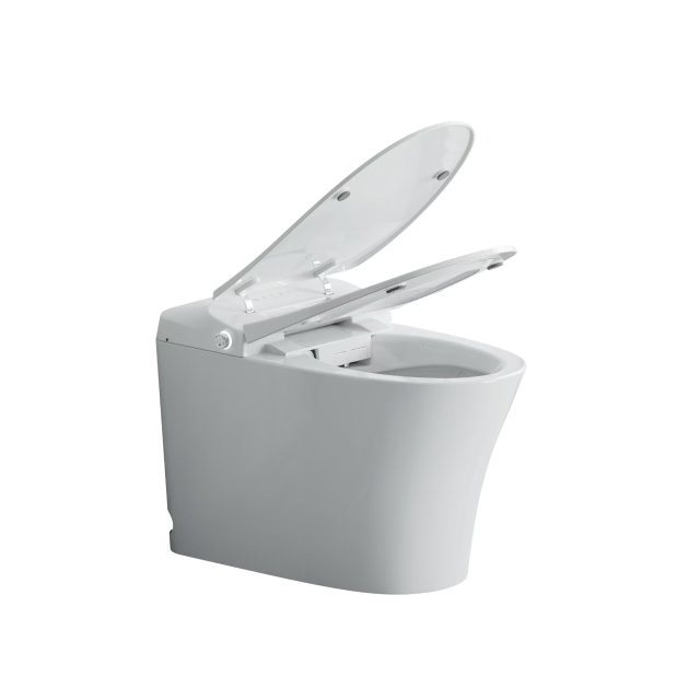 Smart Toilet (Australian Standard)