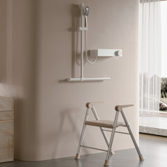 Shower T-shaped handrail