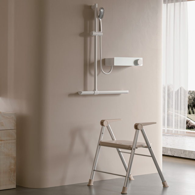 Shower T-shaped handrail