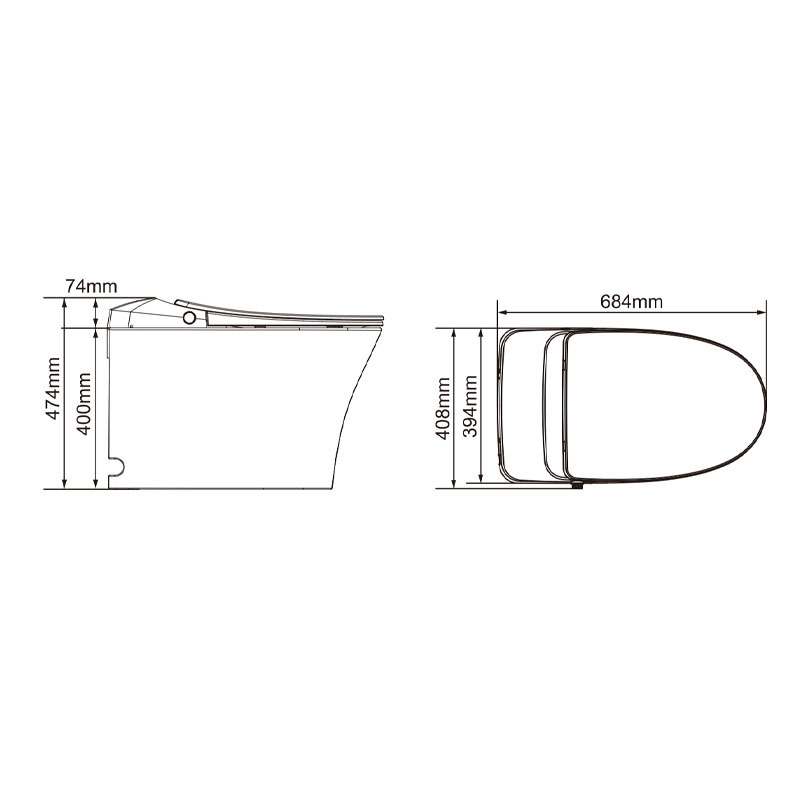 Smart Toilet (Australian Standard)