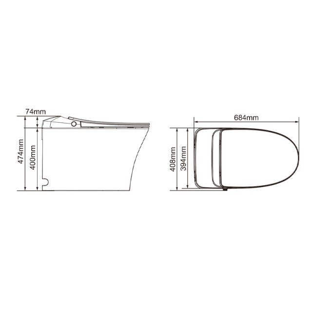 Smart Toilet (Australian Standard)