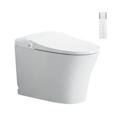 Smart Toilet (Australian Standard)