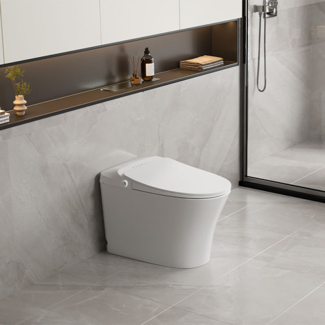 Smart Toilet (Australian Standard)