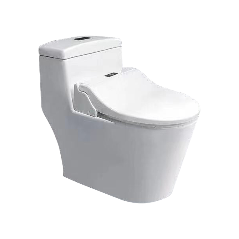 Automatic replacement film hygienic toilet