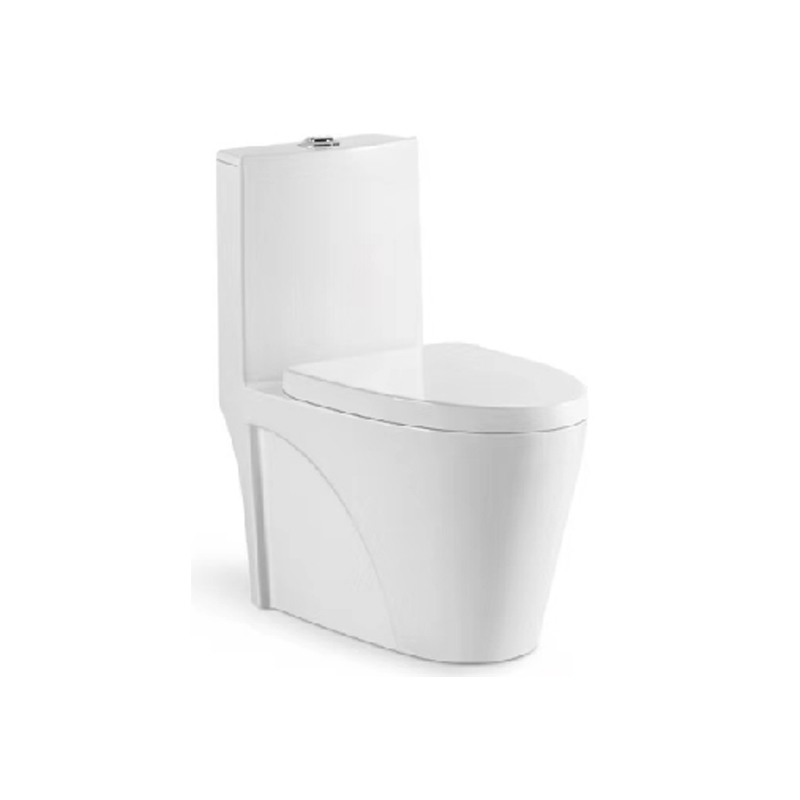 Washdown one-piece toilet