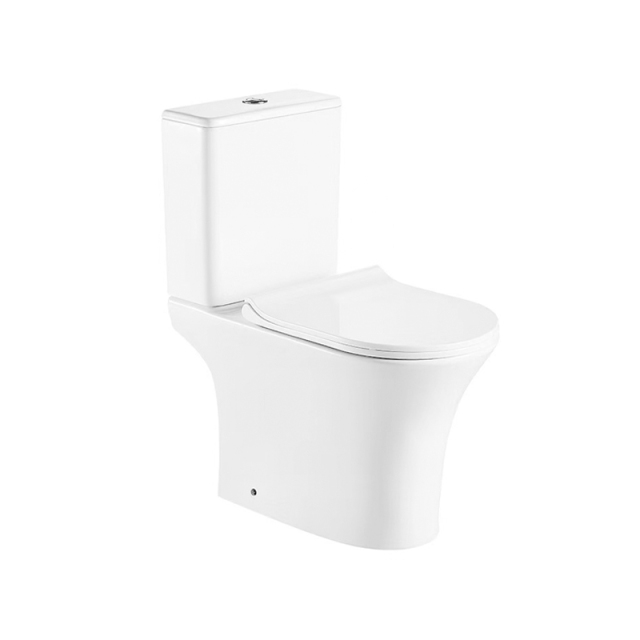 Washdown two-piece toilet