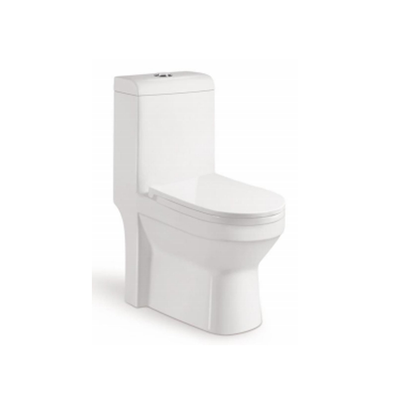 Washdown one-piece toilet