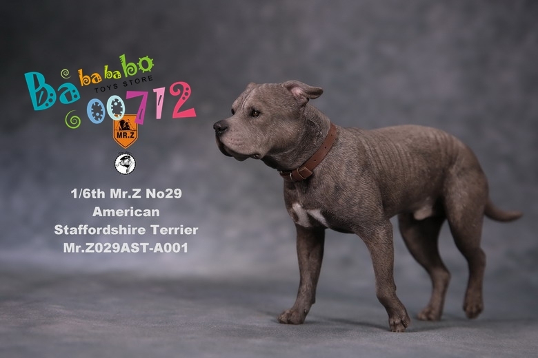 Mr.Z 1:6 Animal Simulation Toy American Staffordshire terrier for John wick