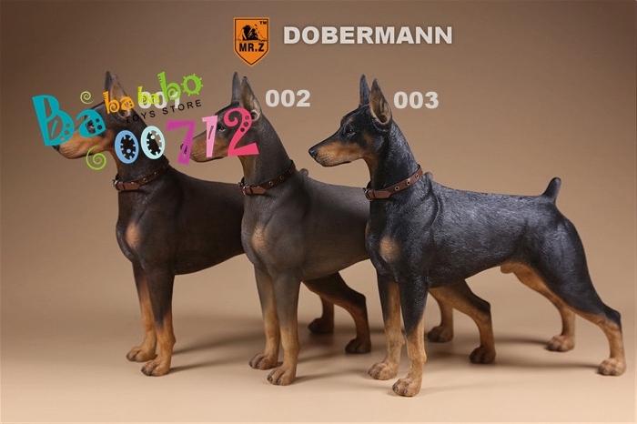 Mr.Z 1:6 Scale Animal Resin Simulation Toy Doberman 3 Color Model Dog figure