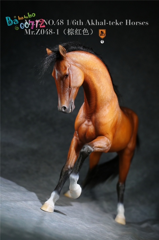 Mr.Z 1:6 Scale Animal Resin Simulation Toy Akhal-Teke Horse Figure 6 Color Model