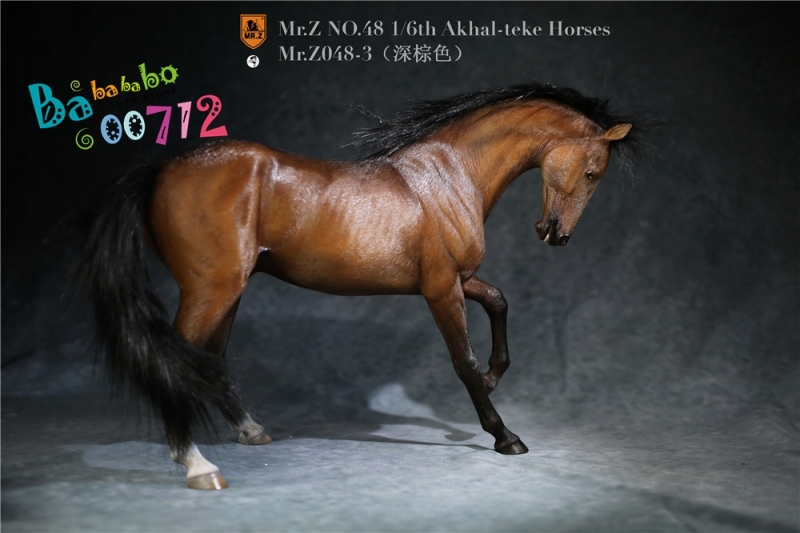 Mr.Z 1:6 Scale Animal Resin Simulation Toy Akhal-Teke Horse Figure 6 Color Model