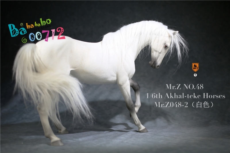 Mr.Z 1:6 Scale Animal Resin Simulation Toy Akhal-Teke Horse Figure 6 Color Model