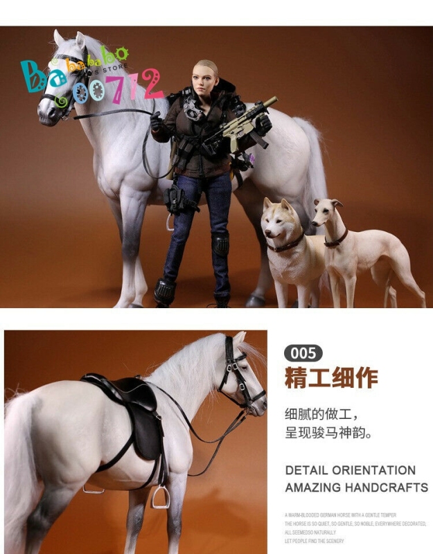 Mr.Z 1:6 Scale Animal Resin Simulation Toy Hanoveria Horse Figure 5 Color Model