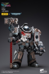 Coming soon JoyToy WARHAMMER 40K 1:18 Grey Knights Terminator Caddon Vibova Action figure