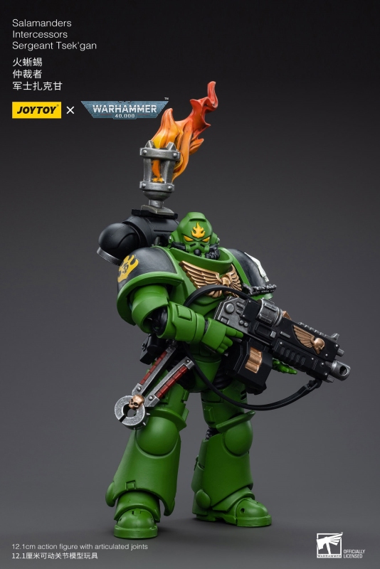Pre-order JoyToy Warhammer 40K 1:18 Salamanders Intercessors Sergeant Tesk'gan