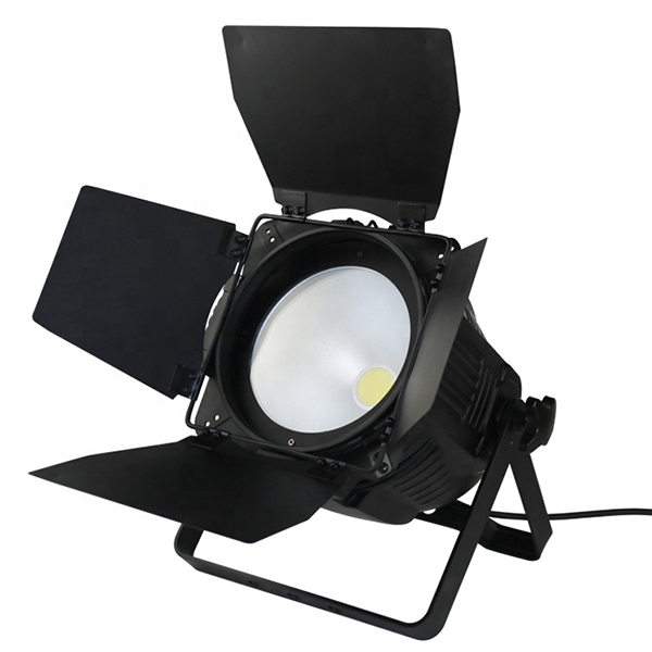 High Quality Pro Stage Dj Lighting 200W COB LED Par Light