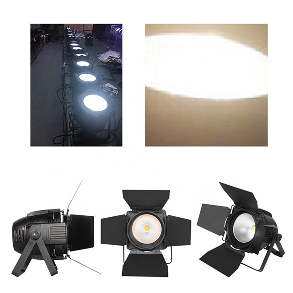 High Quality Pro Stage Dj Lighting 200W COB LED Par Light