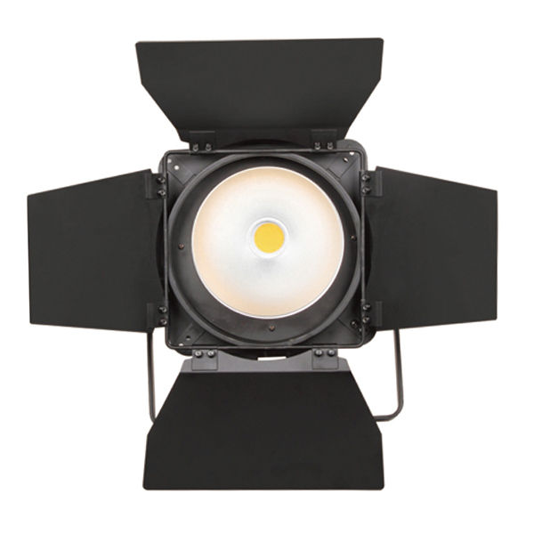 High Quality Pro Stage Dj Lighting 200W COB LED Par Light