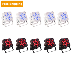 10pcs led par lights (white*5＋black*5) + flight case
