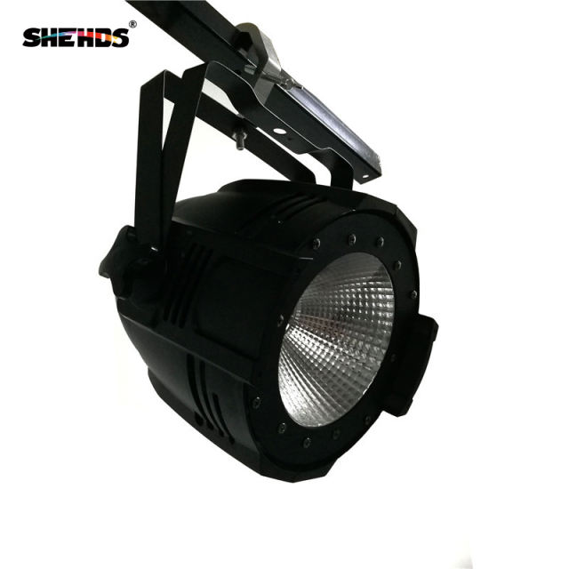 Aluminum Alloy LED Par COB 100W  Cool White + Warm White Lighting/Cool White/Warm White /With Barn Doors Lighting