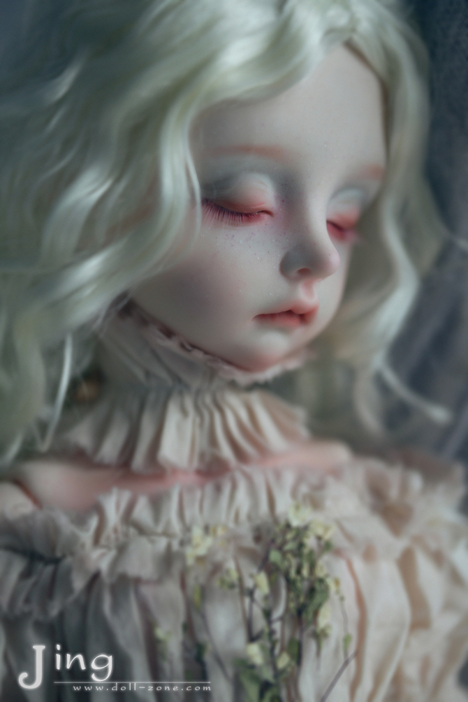 5d54a36fc5.jpg