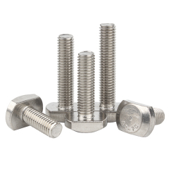 Stainless Steel T Bolt