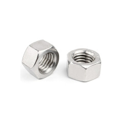 Stainless Steel Hex Nut