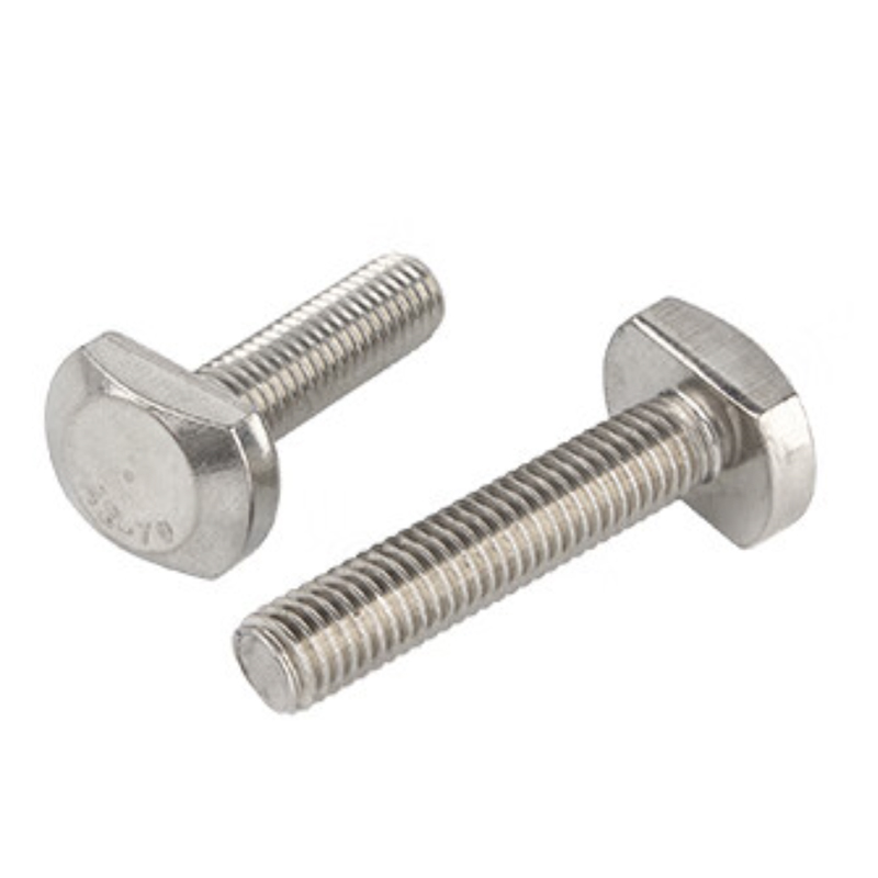 Stainless Steel T Bolt