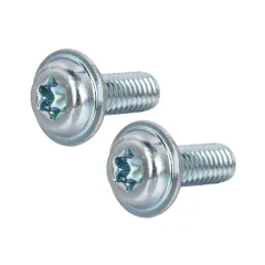 Pan Washer Head TORX Screws