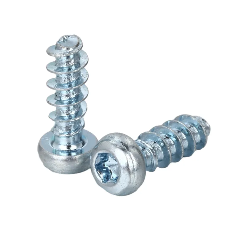 Pan Head TORX Forming Screw For Plastic