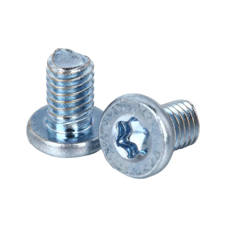 Low Head TORX screws